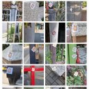 (주)아이큐비 이미지