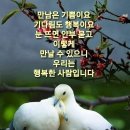 봉이김선달 Daum카페