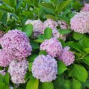 좌1동우체국 이미지