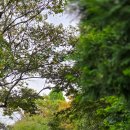 연원농장 이미지