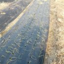 두식농원 이미지