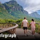 MY DOG GROOMING 이미지