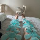 아이비짐 | [임신/일기] 35주 만삭 임산부, 임신 소양증 지옥…데소나로션·페니라민정·인트린직 아이비젤 후기