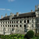 블루아라(I) 이미지