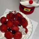 한결같은 동물병원 | 배민 리뷰 아니고 내 연말연초..