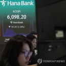 6040 연합뉴스