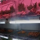 아향부꼬치마을 네이버블로그