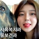 대경동물병원 이미지