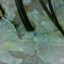 햇살고운미용실