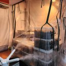 화성사슴농장 이미지