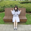 지브라나인