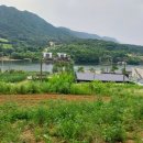 대일부동산중개사무소 이미지