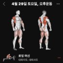 크로스핏플릭 이미지
