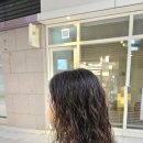 (주)다인파마 네이버블로그