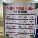 제천약초상회