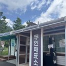 보성 가볼만한곳 윤제림 성림정원 전남 수국 정원