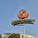 미사리버거 | [경기/가평군] 베고니아새정원 근처 수제버거맛집 해븐지버거 내돈내산 솔직후기