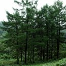 동천신명공인중개사사무소 네이버블로그