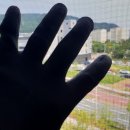 에코그린방충망 이미지
