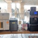 코자자호텔(대명항) 이미지