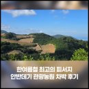 강릉농협하나로마트사업소 성남점 | 한여름 피서지로 최고, 강릉 안반데기 관광농원 차박 후기
