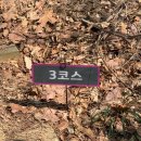 남한산성면-3 | 3월 등산 추천 남한산 등산코스｜등린이 승병의길 3코스 후기