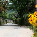 솔뫼집 민박 이미지