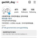 가치있개 이미지