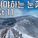 한국에서 가장 아름다웠던 설경 Best 11 | 설산 및 눈꽃 추천 이미지