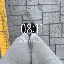백양푸른채(당감주공3단지) | [2023.6.24] 단지임장(1) - 부산시 부산진구(당감동~부암동~초읍동~연지동)