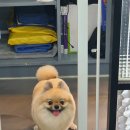 제이앤제이 그루밍 이미지