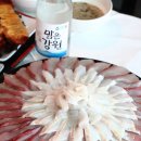 선주직판 주문진 맛집