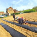 병만농장 이미지