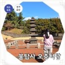 제주불교성지 순례길 절로 가는길 - 지계의 길 | 제주 북부 가볼만한곳 삼양해수욕장 근처 불탑사 오층석탑