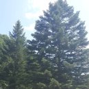 미산분교 캠핑장 이미지