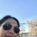 0402.Tidal basin 이미지