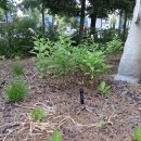 근화동행정복지센터 이미지