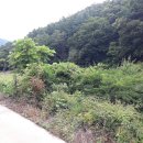 동량면사무소 이미지