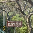 가천목장 | 남해 여행) 다랭이마을/미국마을/독일마을 - 남해 관광 명소, 남해가볼만한 곳, 남해관광지 추천