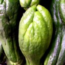 소소농장 이미지