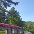 배실(상)공원 웨딩 이미지