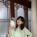 김지은미용실