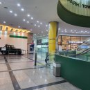 오토월드㈜렌트카 | "손님도 딜러도 없다" 인천 중고차 엠파크 매매단지 탐방