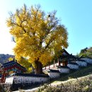 능주향교 이미지