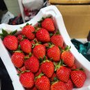 훈이청과 이미지