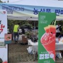 용두농산물