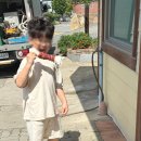 늘 예쁘개 | 8월 2️⃣ 뜨거운 여름아 안녕!