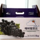구암포도농원