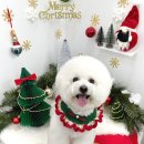 샤멍샤멍 이미지