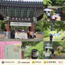 문화가 있는 날 <그림 읽어주는 베토벤 ‘자화상의 비밀 Ⅰ’> | 2026 구석구석 문화가 있는날 강진 사계절 문화미감 5월 백련사 참가 후기